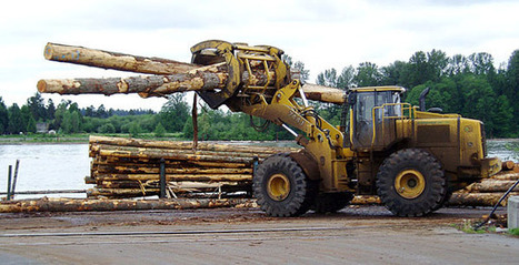 Asian log buyers outbidding B.C. mills | Timberland Investment | Scoop.it