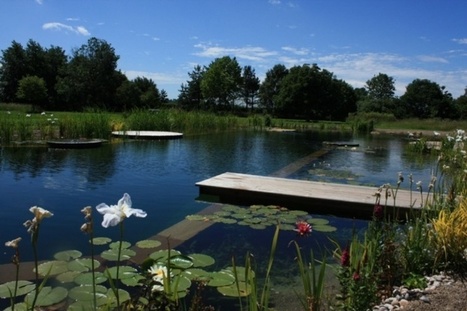 Natural Swimming Pools | Eco-Friendly Lifestyle | Scoop.it