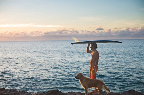 Fifteen Simple Strategies for Kicking Stress | Stress Management | Scoop.it