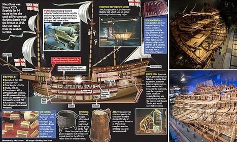 The Mary Rose | Year 8: Tudors; French Revolution; Empire & Slavery | Scoop.it