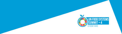 Réservez la date du deuxième bilan du Sommet des Nations unies sur les SYSTEMES ALIMENTAIRES (UNFSS+4) | CIHEAM Press Review | Scoop.it