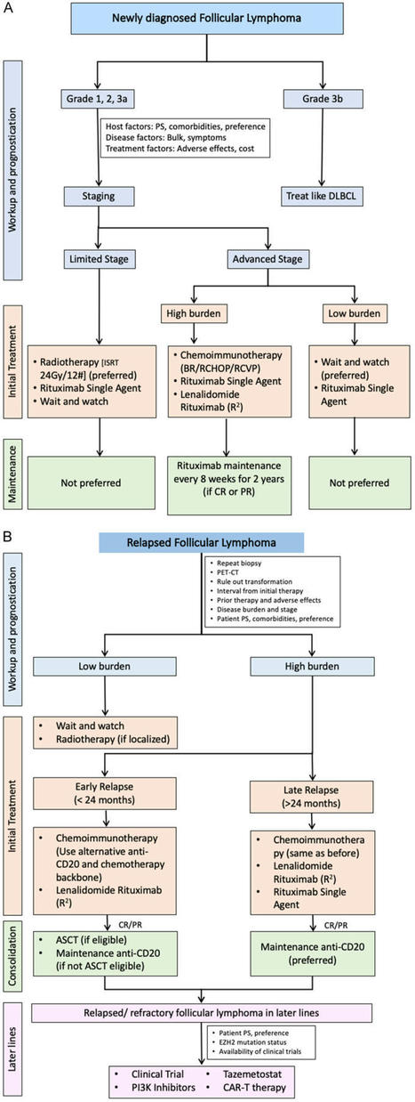 Current trends in diagnosis and management of follicular lymphoma - PMC | Hematology | Scoop.it