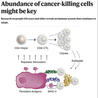 Immunology