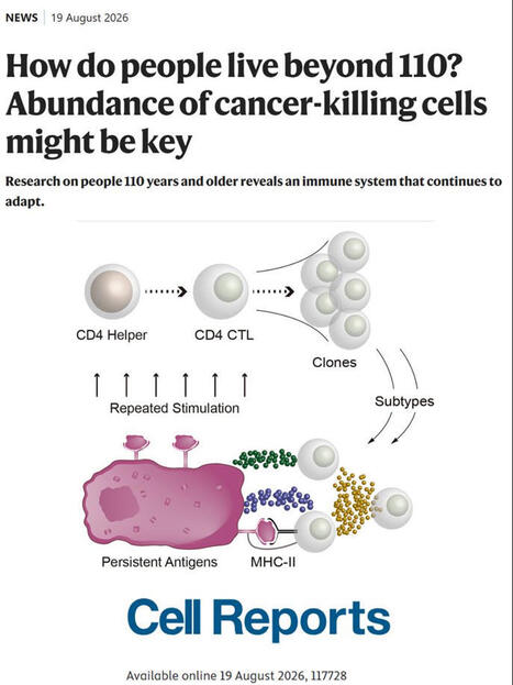 CD4 CTLs in supercentenarians linked to healthy aging | Andr&eacute;s D. Klein posted on the topic | Immunology | Scoop.it