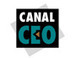 Busca el origen de tu estrés | Canal CEO | Help and Support everybody around the world | Scoop.it