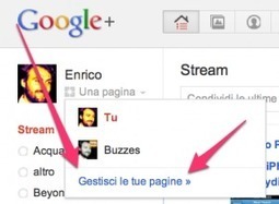 Quello che devi sapere su Google+: che differenza c&rsquo;&egrave; tra il ruolo di proprietario e quello di gestori delle pagine? | Crea con le tue mani un lavoro online | Scoop.it