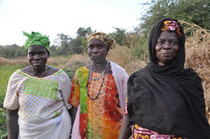 THE GAMBIA:&nbsp;&nbsp; Meet Kinsa Sidibeh, an SRI farmer in Central River Region South | SRI Global News-- January-April, 2026 -- System of Rice Intensification (SRI) | Scoop.it