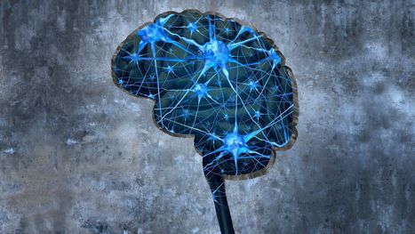 Why Students Forget&mdash;and What You Can Do About It | Information and digital literacy in education via the digital path | Scoop.it