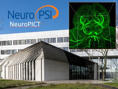 FOCUS PLATEFORME : Des neurones plein les yeux avec la nouvelle plateforme d’imagerie photonique NeuroPICT (NeuroPSI) | Life Sciences Université Paris-Saclay | Scoop.it