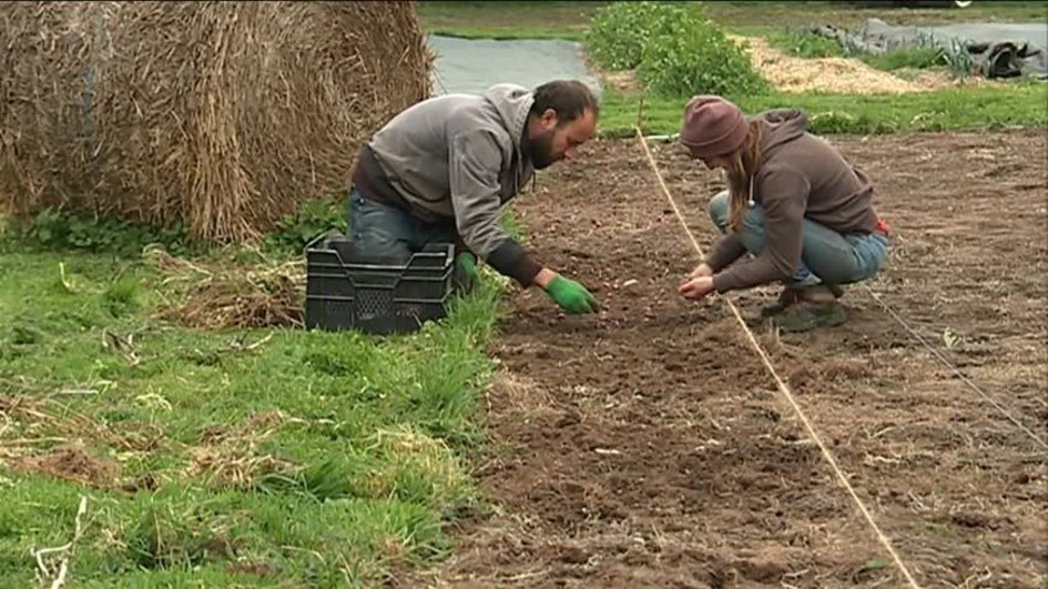 Harfleur : un week-end de sensibilisation à l'agriculture sans pesticide | Une semaine d'actu - Newsletter de veille de l'AURH | Scoop.it
