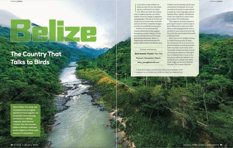 Belize Featured in Birding Magazine | Cayo Scoop!  The Ecology of Cayo Culture | Scoop.it