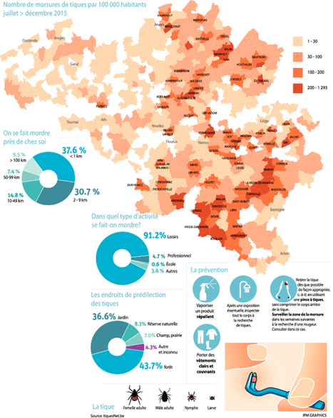 Découvrez où se cachent les tiques en Belgique (Carte) | EntomoNews | Scoop.it