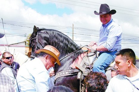Los caballos de pura sangre, la debilidad de los patriotas ... - elPeriódico (Guatemala) | Caballo, Caballos | Scoop.it