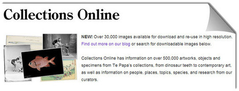 Más de 30.000 imágenes HD para descargar gratis del Museo de Nueva Zelanda | TIC & Educación | Scoop.it