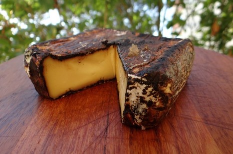 Le Fleur du Malt ! Un nouveau fromage d&rsquo;Alsace | Nouveaut&eacute;s - Offre touristique Alsace | Scoop.it