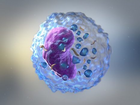 Study focuses on new approach that delivers a "one-two punch" to help T cells attack solid tumors | Genetic Engineering Publications - GEG Tech top picks | Scoop.it