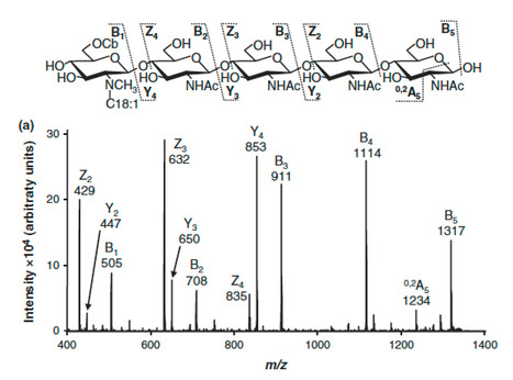 Stable isotope labelling reveals that NaCl stre...