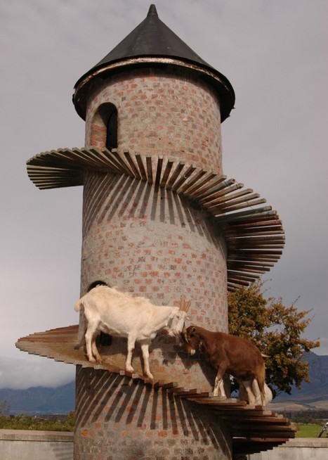 The Iconic Goat Tower of Fairview | Strange days indeed... | Scoop.it