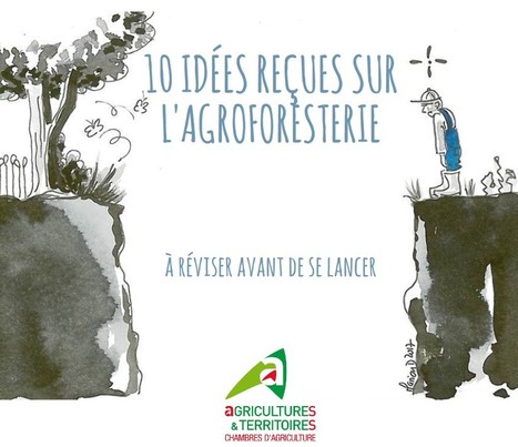 10 idées reçues sur l'agroforesterie | Lait de Normandie... et d'ailleurs | Scoop.it