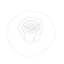 How to Draw a Rose Step by Step | Drawing and Painting Tutorials | Scoop.it