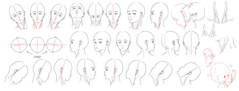 Head and Neck Drawing Reference | Drawing References and Resources | Scoop.it