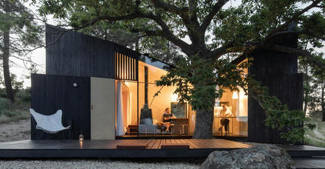 [Inspiration] Une maisonnette en bois portugaise réalisée autour d'un marronnier | Build Green, pour un habitat écologique | Scoop.it