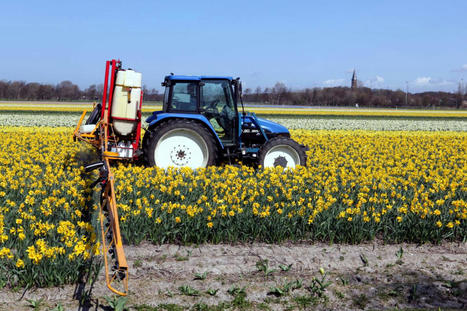 L’agence environnementale de l’Union européenne déplore une consommation encore trop importante de pesticides | Questions de développement ... | Scoop.it