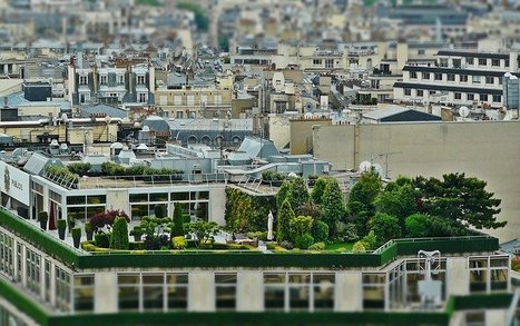 [Mémoire de fin d'étude] Le végétal, facteur d'appropriation des toits terrasses - DUMAS - Dépôt Universitaire de Mémoires Après Soutenance | ESPACES VEGETALISES URBAINS | Scoop.it
