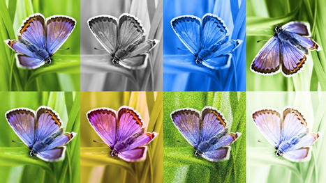 SynthID: Identifying AI-generated images   | digisapiens v.1.0 | Scoop.it