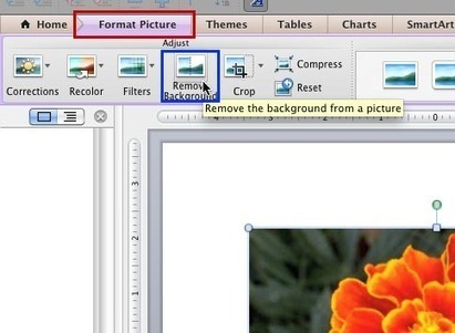 Remove Background from Pictures in PowerPoint 2011 for Mac | Into the Driver's Seat | Scoop.it