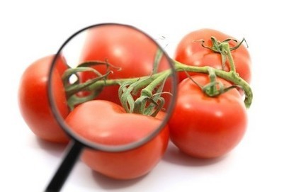 Framingham data adds to ‘accumulating evidence’ for lycopene’s heart health benefits | Longevity science | Scoop.it