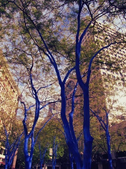 The Blue Trees by Konstantin Dimopoulos | Art Installations, Sculpture, Contemporary Art | Scoop.it