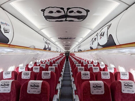 Hong Kong Airlines d&eacute;ploie un Airbus A320 &laquo; Panda Friends &raquo; enti&egrave;rement th&eacute;matis&eacute; | AERONAUTIQUE NEWS - AEROSPACE POINTOFVIEW - AVIONS - AIRCRAFT | Scoop.it