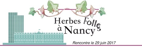 Herbes Folles à Nancy _ AgroParisTech | Biodiversité | Scoop.it
