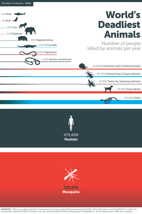The Deadliest Animal in the World | Nouveaux paradigmes | Scoop.it