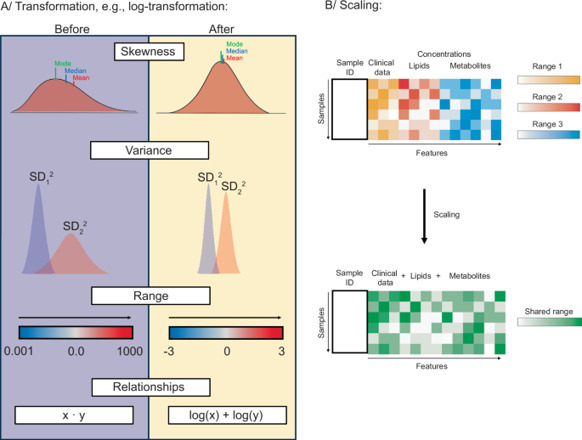 Best practices and tools in R and Python for st...