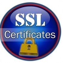 Google renforce la sécurité SSL avec des clés 2048 bits | Libertés Numériques | Scoop.it