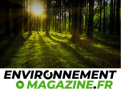 Ecovadis publie son second indice de performance RSE | EcoVadis dans la Presse | Scoop.it