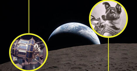 Orion, Laika y la cara oculta de la Luna: el af&aacute;n period&iacute;stico de la &ldquo;primera vez&rdquo; | Universo y F&iacute;sica Cu&aacute;ntica | Scoop.it