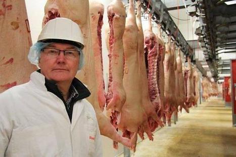 Porc breton : « Nous devons être plus compétitifs » | La Gazette des abattoirs | Scoop.it