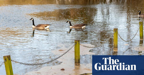 Sewage released into England&rsquo;s rivers and seas nearly 300,000 times last year | Water | The Guardian | Microeconomics: IB Economics | Scoop.it