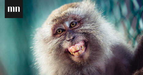 Suomalaiset äänestivät parhaat isävitsit – tässä 10 suosikkia | 1Uutiset - Lukemisen tähden | Scoop.it