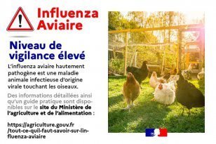 Influenza aviaire : risque élevé sur l’ensemble du territoire national | Vallées d'Aure & Louron - Pyrénées | Scoop.it