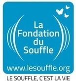Fonds de Recherche en Santé Respiratoire et Fondation du Souffle - Appel à candidatures | Life Sciences Université Paris-Saclay | Scoop.it