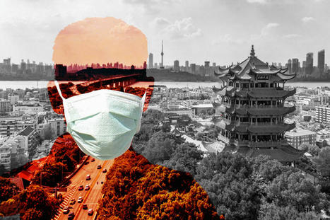 Exclusive interview: Wuhan professor recounts city’s harrowing coronavirus response – | Wuhan, Hubei | Scoop.it