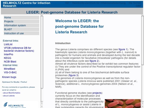 LEGER: knowledge database and visualization tool for comparative genomics of pathogenic and non-pathogenic Listeria species | bioinformatics-databases | Scoop.it