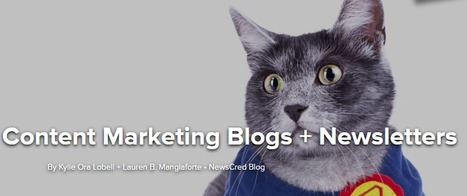 The 30 Best Content Marketing Blogs + Newsletters | Newscred | Public Relations & Social Marketing Insight | Scoop.it