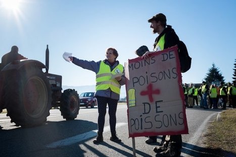 En Isère, #Gilets jaunes et villageois dénoncent la #pollution de #Lactalis | Gestion de crise | Scoop.it