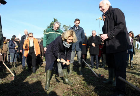 De nouveaux arbres plantés pour la future forêt du Val-d'Oise | Environnement, paysage et biodiversité | Scoop.it