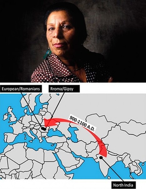 Black Death Left a Mark on Human Genome | Amazing Science | Scoop.it